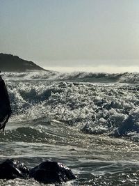 Scenic view of sea against clear sky