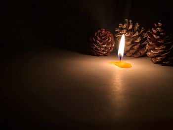 Close-up of illuminated candle by pine cones in dark