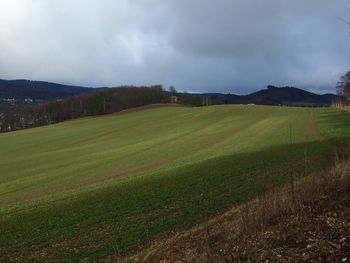 Scenic view of agricultural field against sky