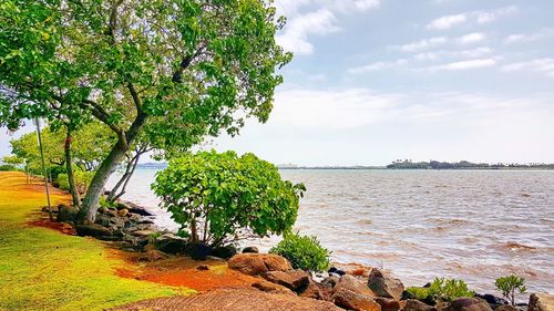 Scenic view of sea against sky