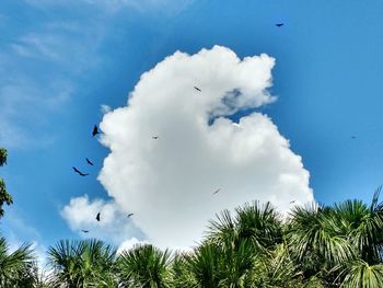 Low angle view of birds flying in sky