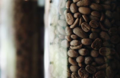 Close-up of coffee beans