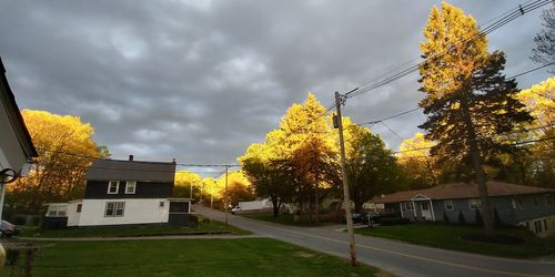 Trees and houses against sky