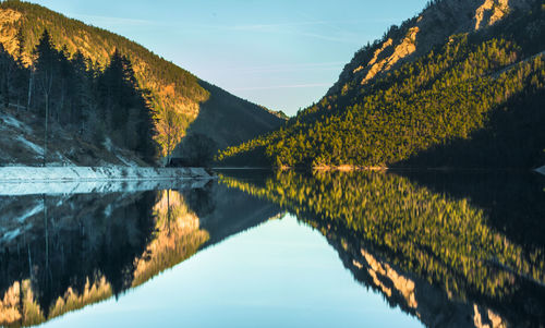 Reflection of trees on lake against sky