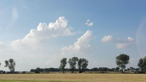 Panoramic view of landscape against sky