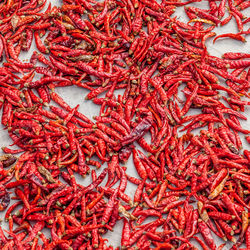 High angle view of red chili peppers for sale in market