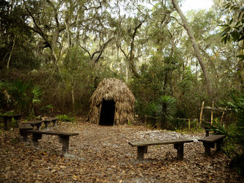 Empty benches on field against trees in forest