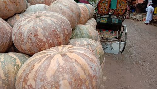 View of pumpkins for sale at market