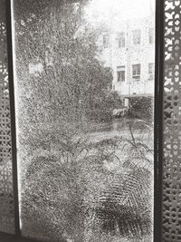 Full frame shot of glass window of building