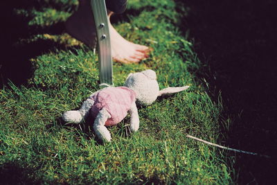 High angle view of stuffed toy on field