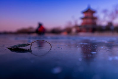 Close-up of water against sky