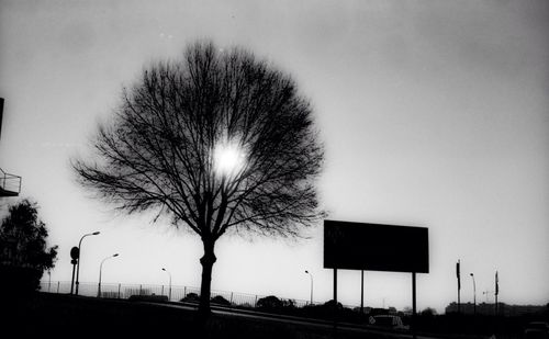 Low angle view of bare trees against sky