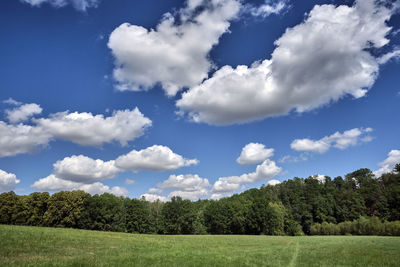 Scenic view of trees on field against sky