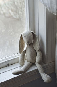 Close-up of dog sitting by window