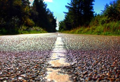 Surface level of road amidst trees