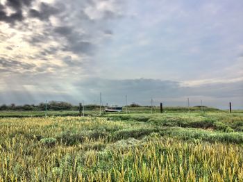Scenic view of field against cloudy sky