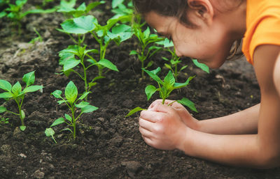 Girl planting in garden