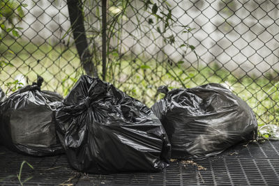 Black trash bags against chainlink fence