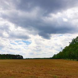 Scenic view of field against sky