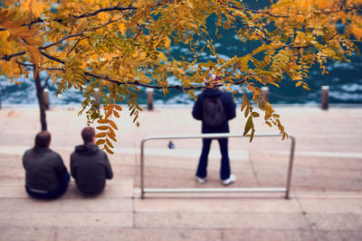 Rear view of woman standing by tree during autumn