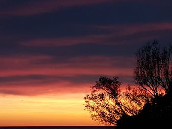 Silhouette tree against orange sky