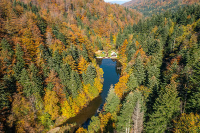 Beautiful landscape with lake and picnic pavilion next to it surrounded by colorful trees in autumn