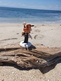 Full length of man on beach
