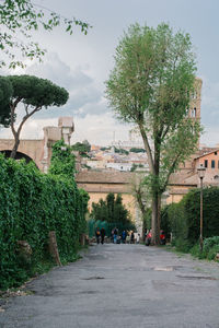 Street amidst trees and buildings against sky