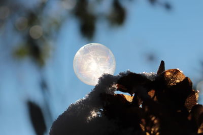 Low angle view of moon against sky