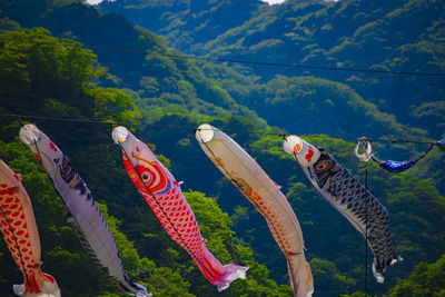 High angle view of sea against mountain