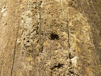 Full frame shot of cracked wall
