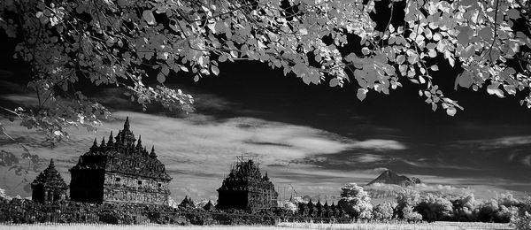 Low angle view of trees and buildings against sky
