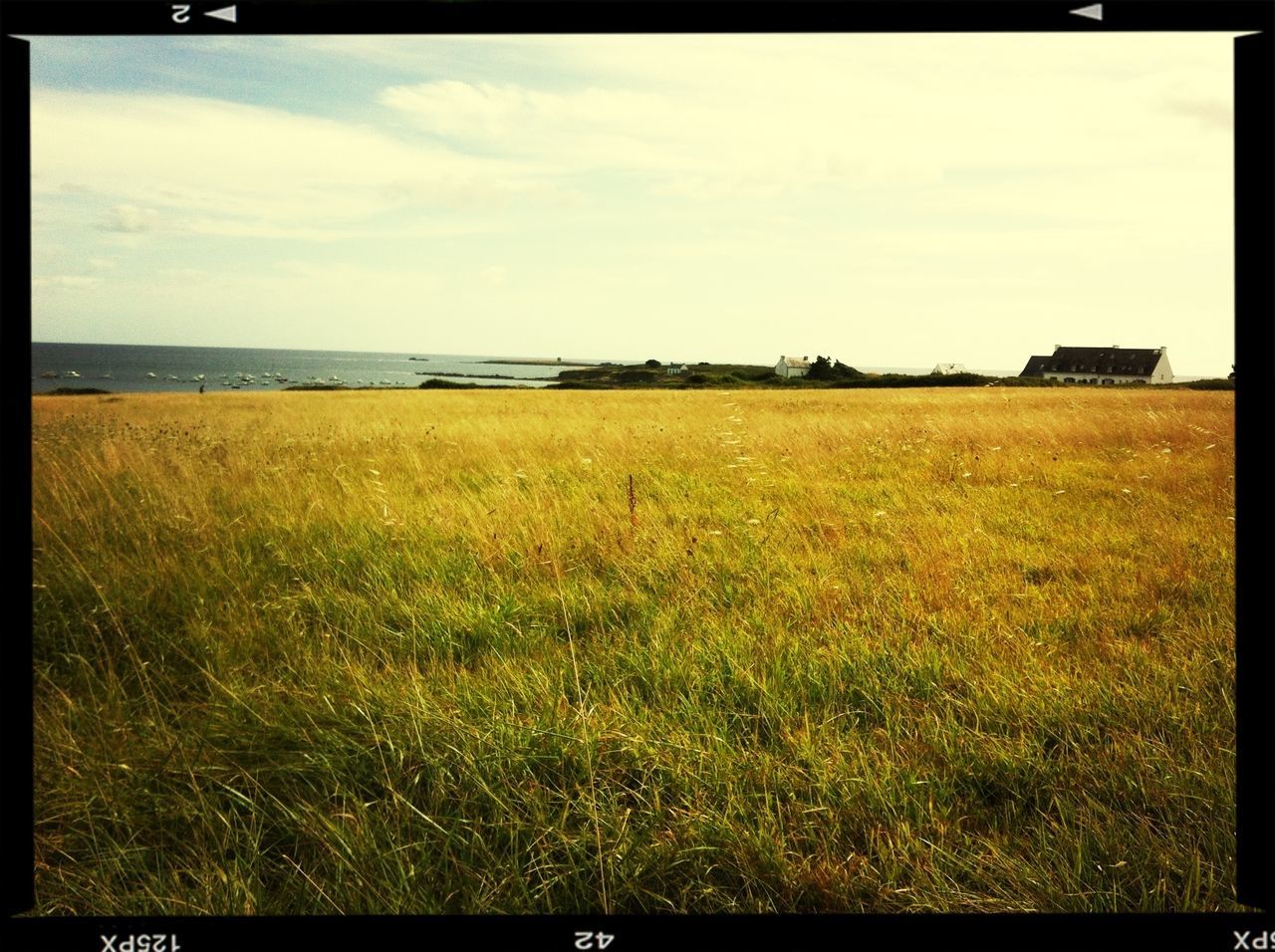 transfer print, sky, tranquil scene, auto post production filter, grass, tranquility, field, horizon over water, scenics, beauty in nature, landscape, sea, nature, cloud - sky, water, growth, cloud, rural scene, horizon over land, grassy