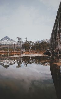 Reflection of trees in lake against sky