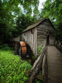 Wooden house amidst trees and plants in forest