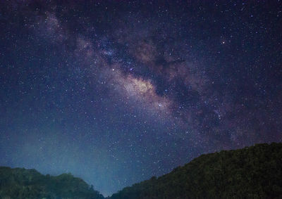 Low angle view of star field against sky at night