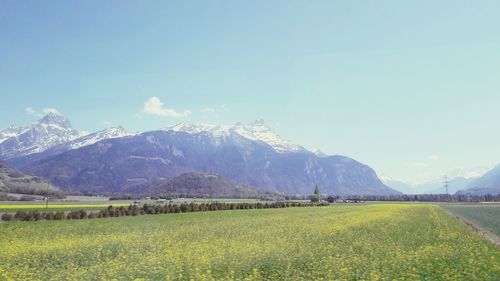 Scenic view of field by mountains against sky