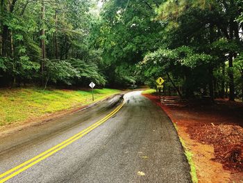 Country road along trees