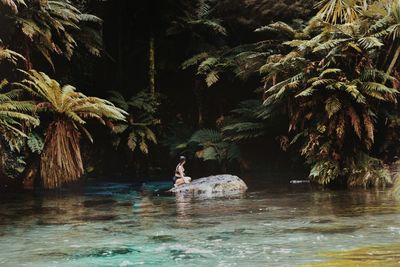 Woman sitting on rock in river against trees