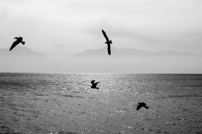 Silhouette man jumping in sea against sky