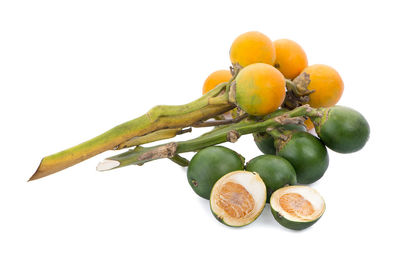 Close-up of oranges against white background