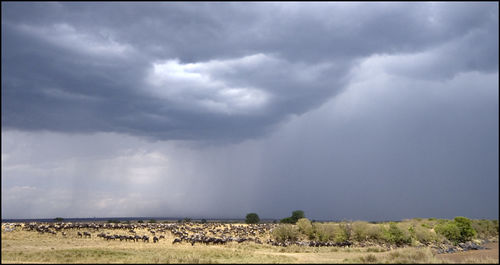 Scenic view of field against storm clouds