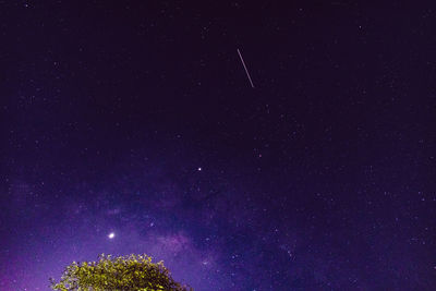 Low angle view of stars against sky at night