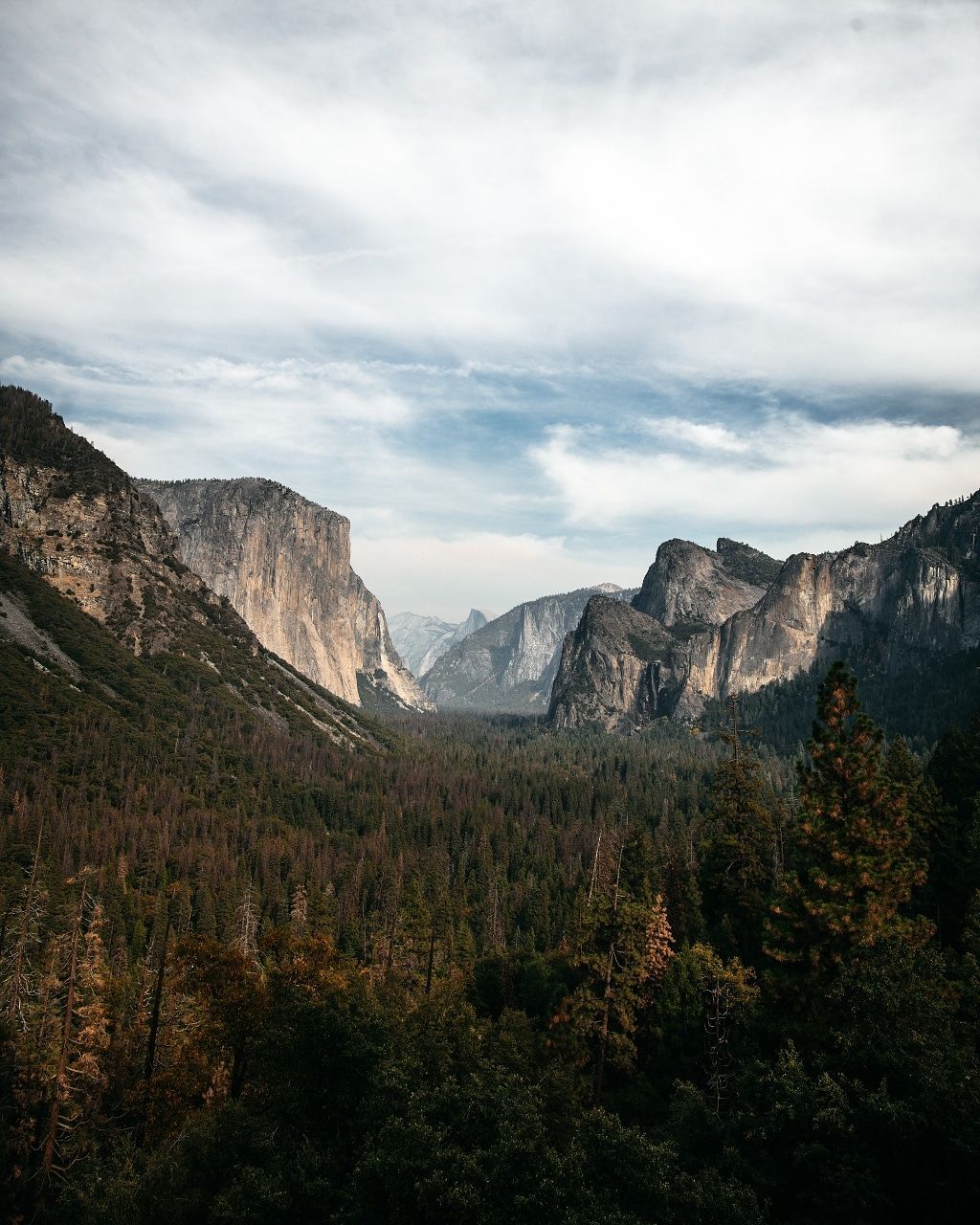 mountain, landscape, environment, scenics - nature, beauty in nature, sky, cloud - sky, nature, tree, plant, non-urban scene, tranquil scene, land, idyllic, no people, tranquility, valley, outdoors, growth, travel, mountain peak, formation, range, high