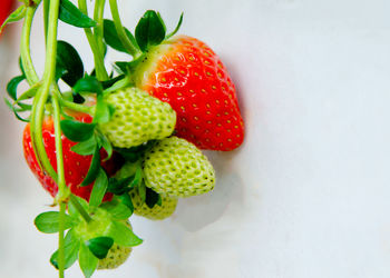 Close-up of strawberries