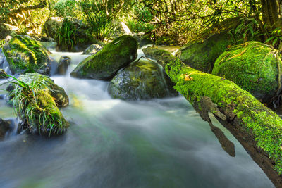 Waterfall and rocks covered with moss.