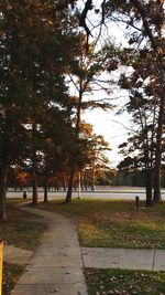 Footpath in park