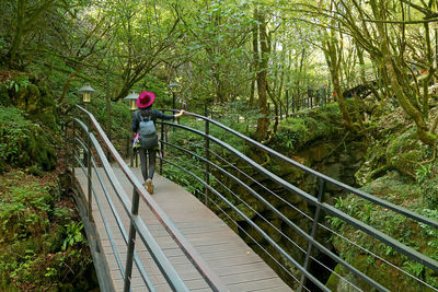 Man riding bicycle on footpath in forest