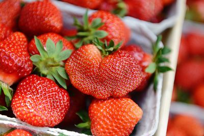 Close-up of strawberries