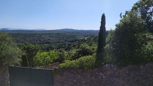 Scenic view of forest against sky